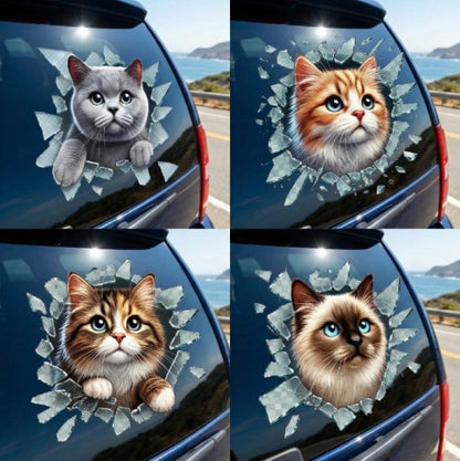 Fulcar Kedi Tasarımlı Araç Stickerı