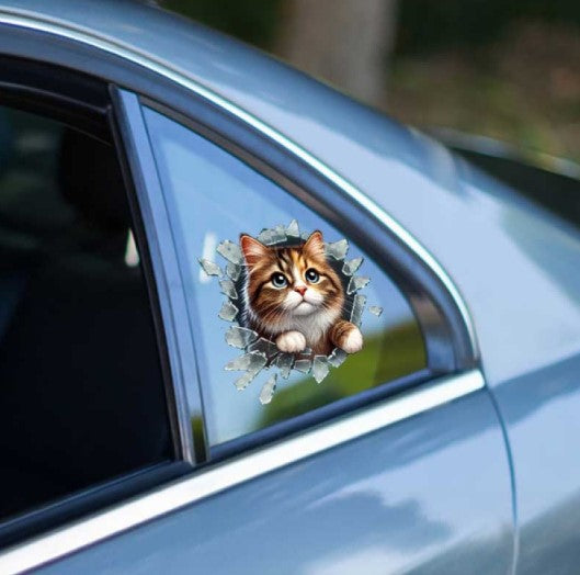 Fulcar Kedi Tasarımlı Araç Stickerı