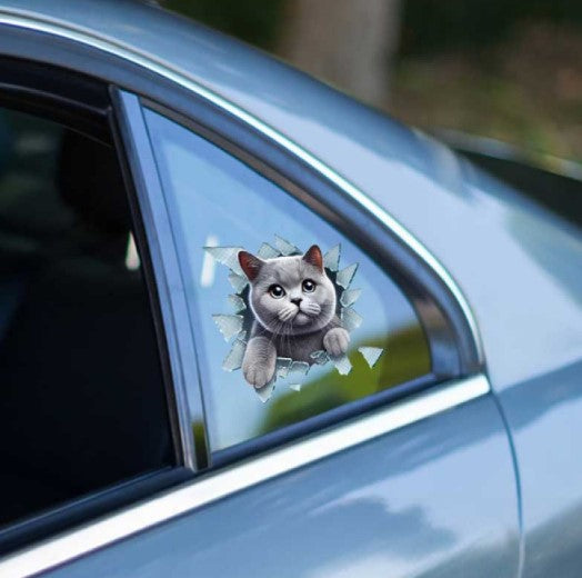 Fulcar Kedi Tasarımlı Araç Stickerı